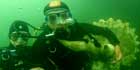 Underwater with a dinosaur