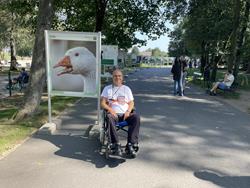 Główna alejka w ZOO